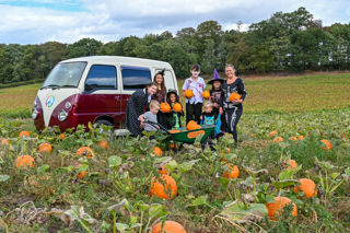 Group Pumpkin Wagon 2025