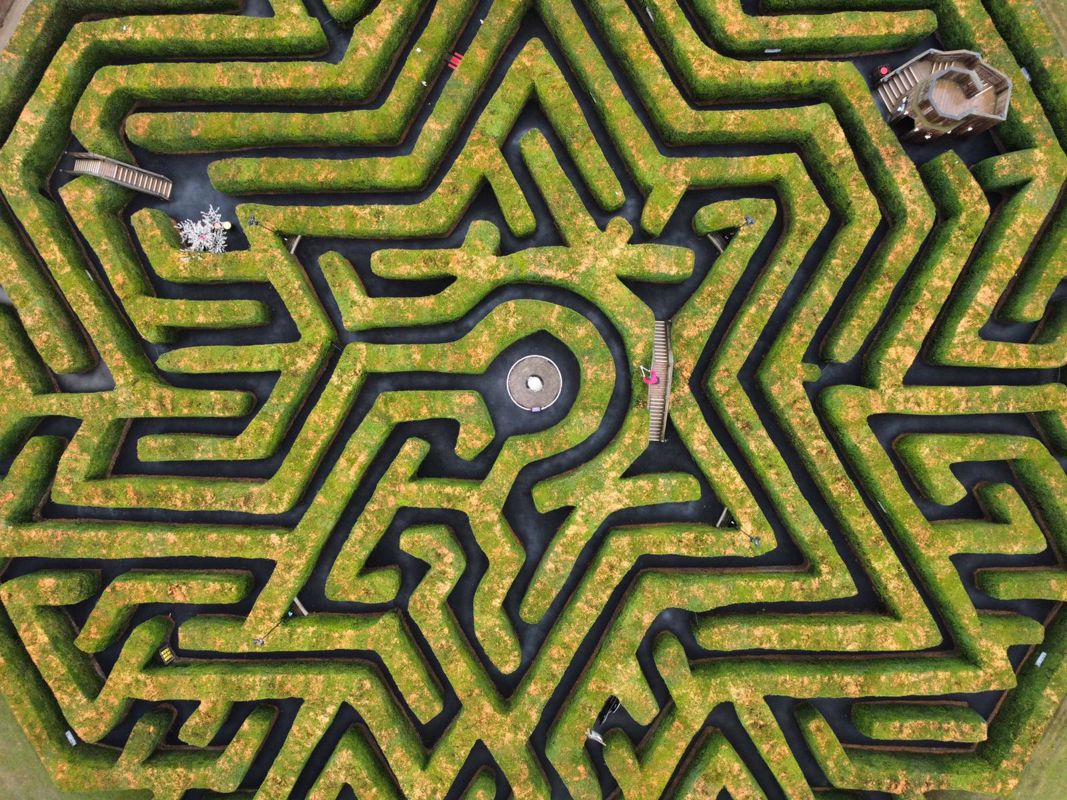 Birds eye view of the maze