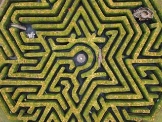 Birds eye view of the maze