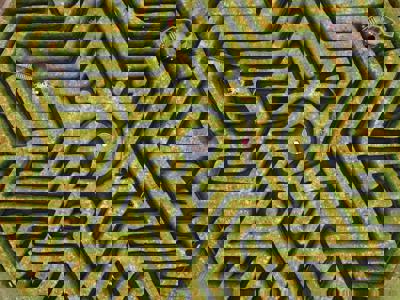 Birds eye view of the maze