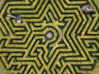 Birds eye view of the maze
