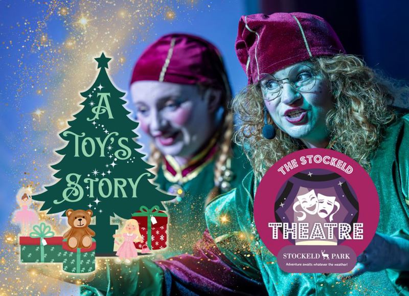 A Toy's Story