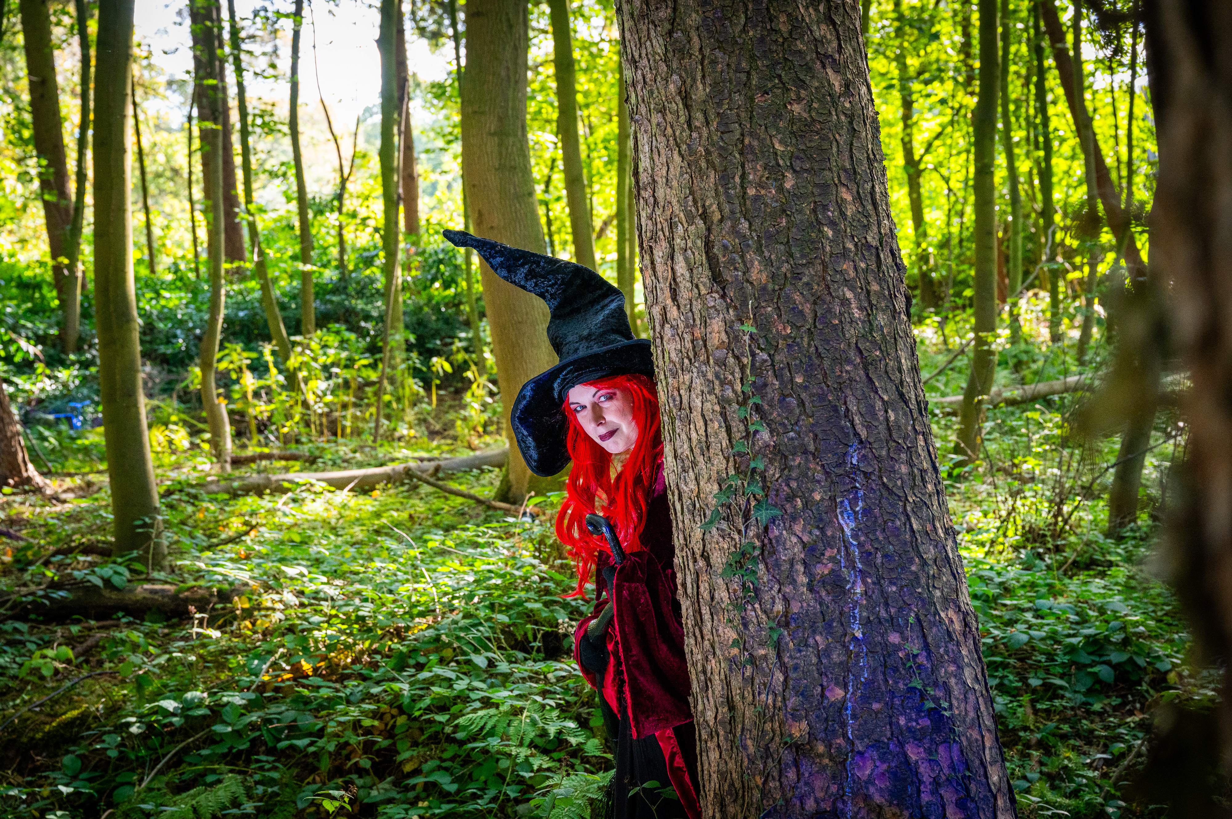 DC Halloween 2025 Witch Peering Around Tree