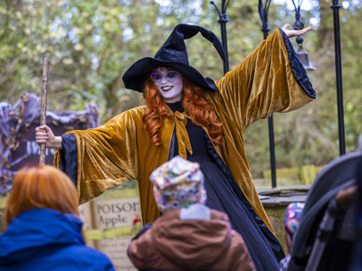 witch with gold robes and ginger hair welcomes a group of children into forest