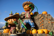 Pumpkin man decorations