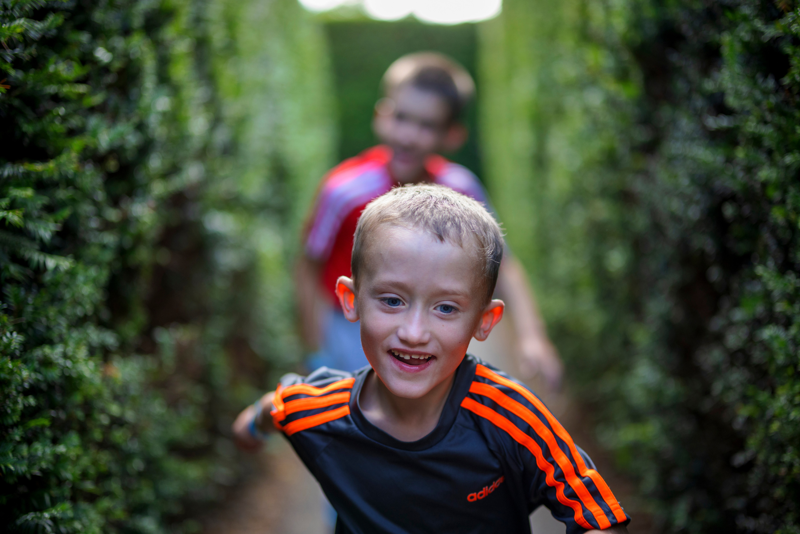 Magical Maze At Stockeld Park