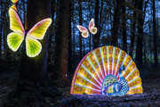 mutli coloured illuminated sculptures of butterflies and a peacock