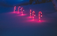 6 lit up candycanes in snow