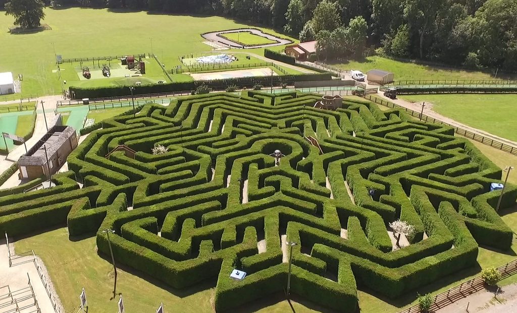the-magical-maze-stockeld-park