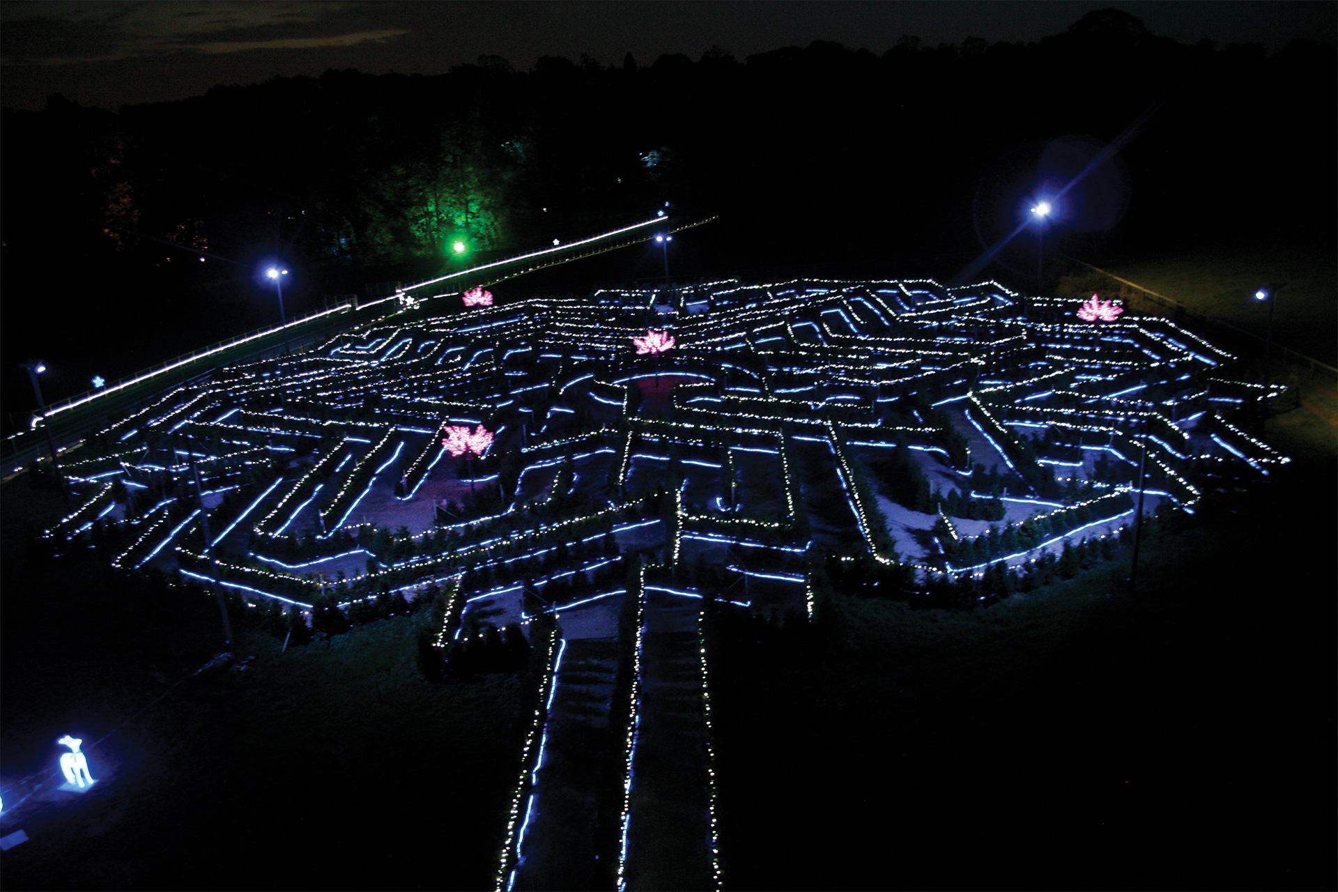 Stockeld Park Maze Illuminations