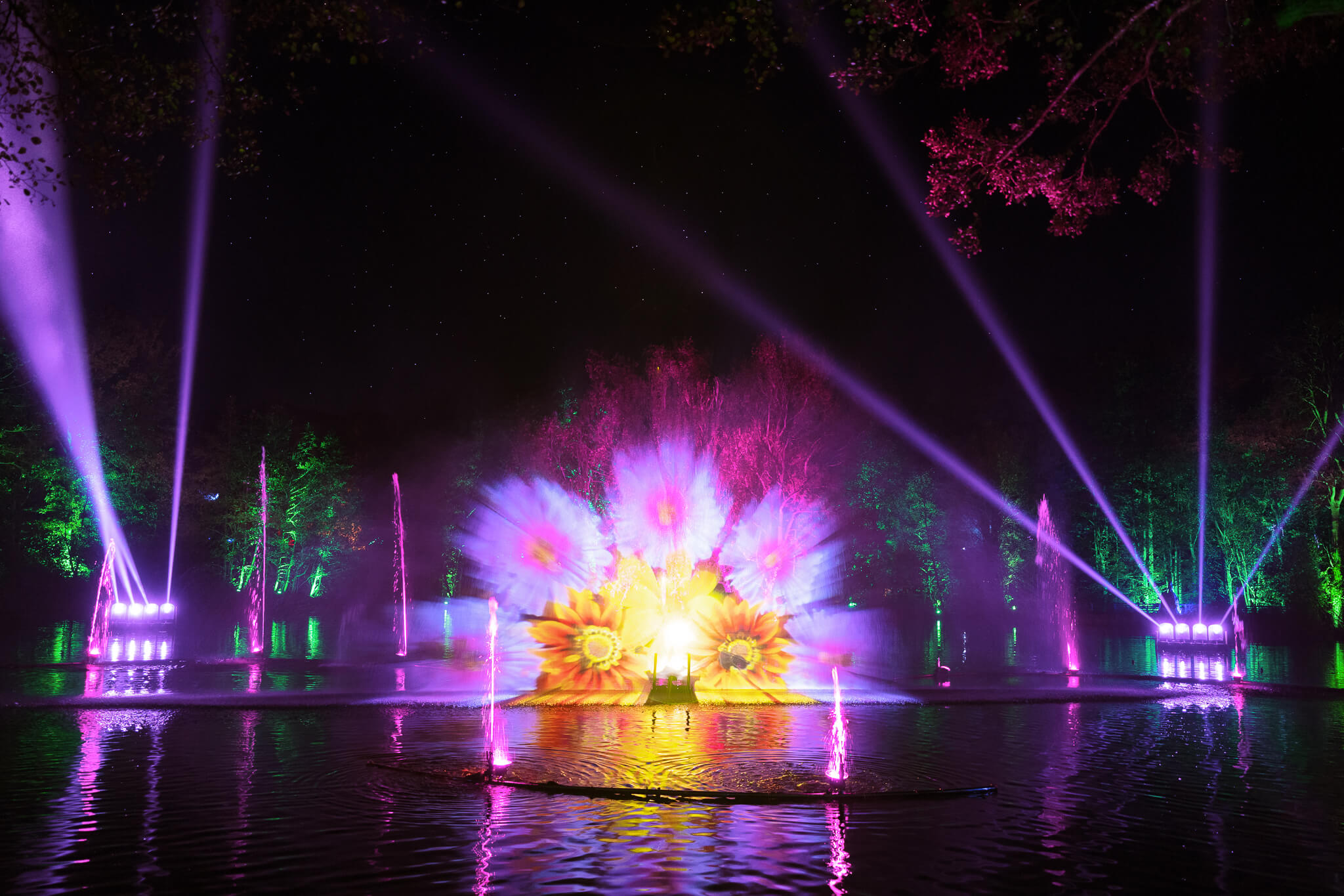 Projection lake water light show with flower projection