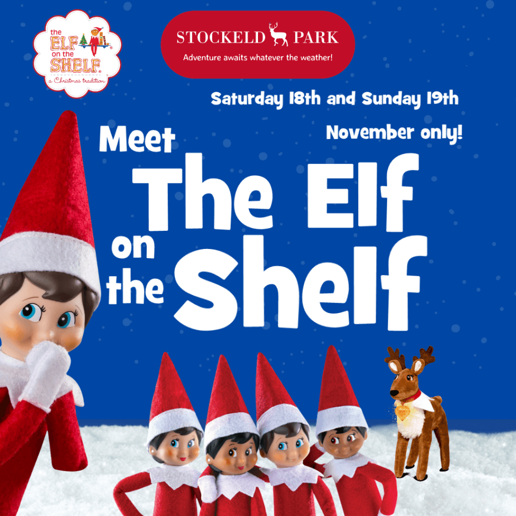 The Elf on the Shelf is coming to Stockeld Park! 