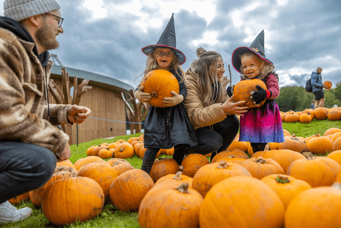 Young children picking pumpkins in Stockeld Park with the help of their parents