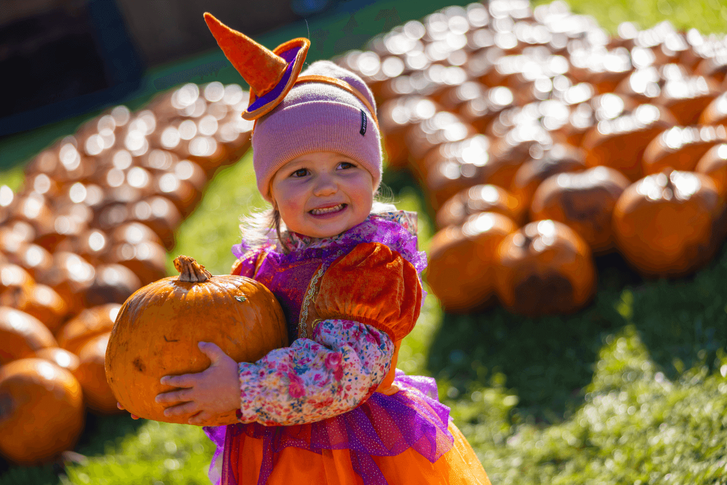 Young kid stood in front of a pumpkin patch