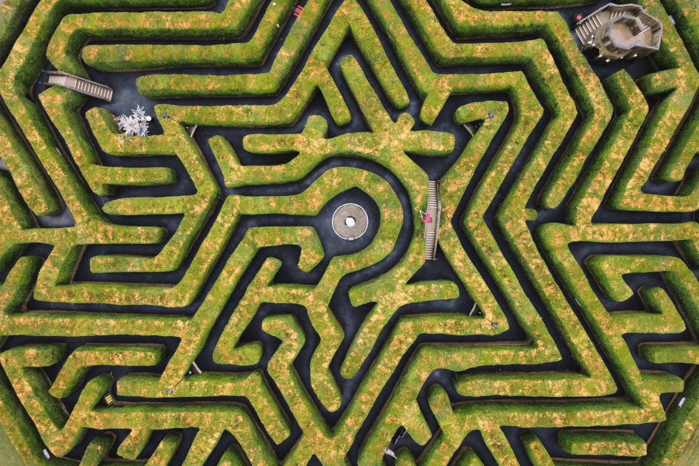 Birds eye view of Stockeld Park's magical yew tree maze